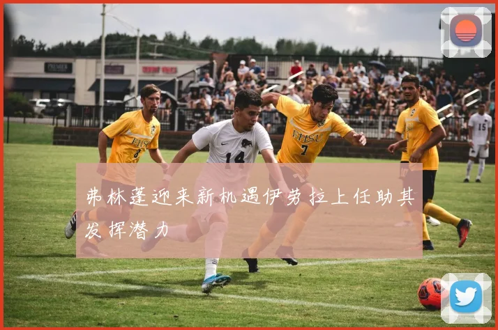 弗林蓬迎来新机遇伊劳拉上任助其发挥潜力